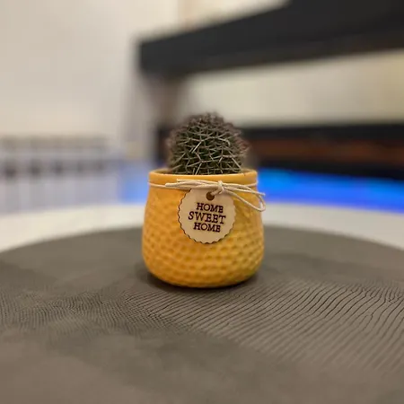 Apartment Old Town Bascarsija -modern *